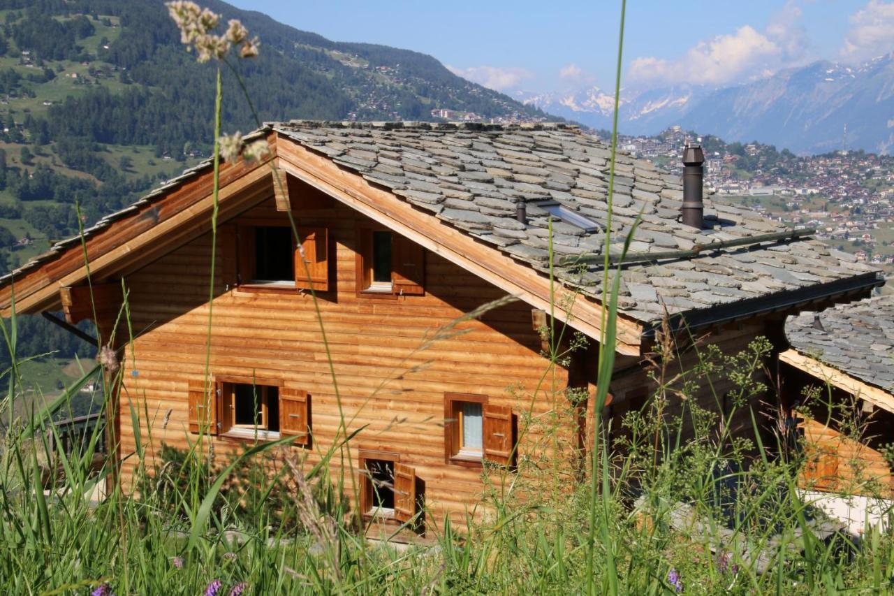 Christoph Standing & Calm Chalet 10 Pers By Alpvision Residences Veysonnaz Exteriér fotografie